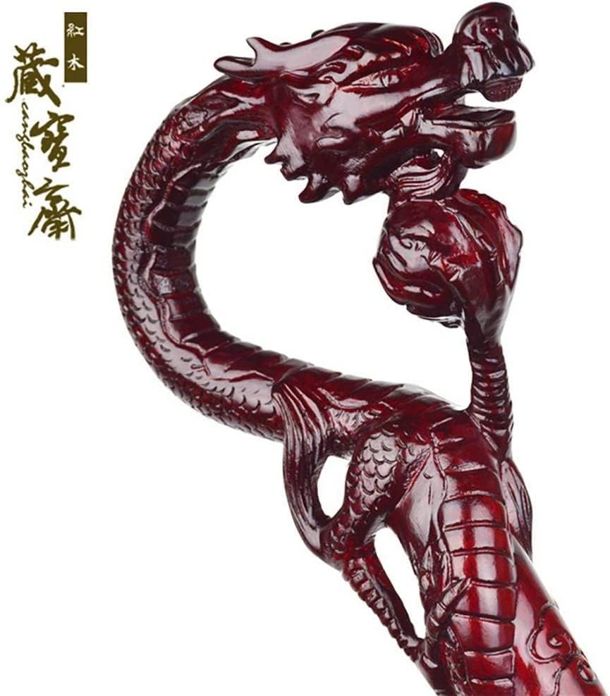 オペルクリカリア パキプス 特大 抜き苗 不*王様 オペルクリカリア